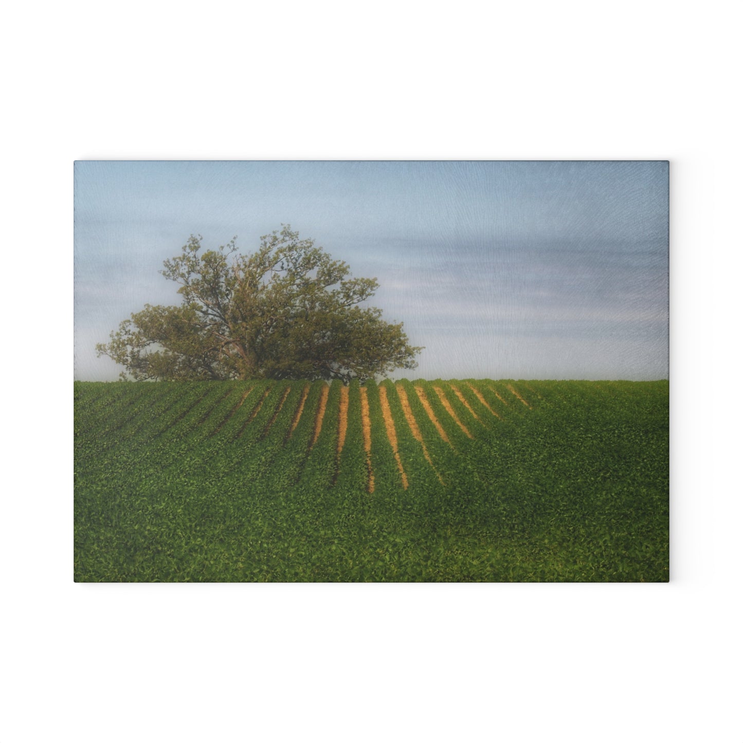 U R There Photography Tree Overlooking Farm Field Rustic Farmhouse Tempered-Glass Cutting Board