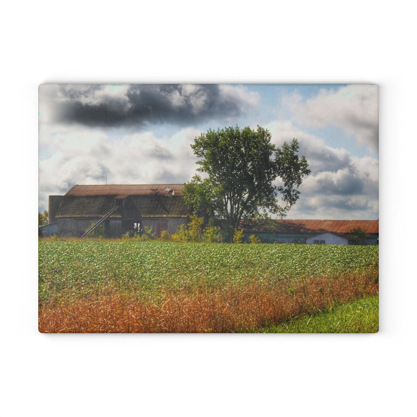 U R There Photography Silverwood Haybarn Rustic Farmhouse Tempered-Glass Cutting Board