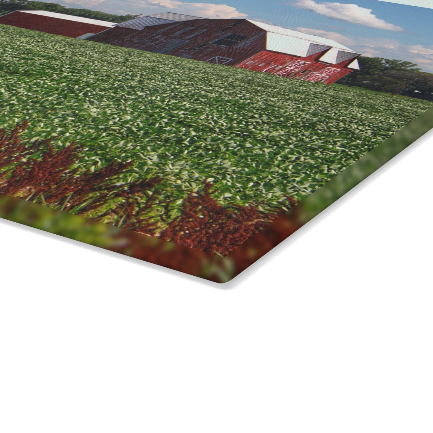 U R There Photography South Gera Road Red Rustic Farmhouse Tempered-Glass Cutting Board