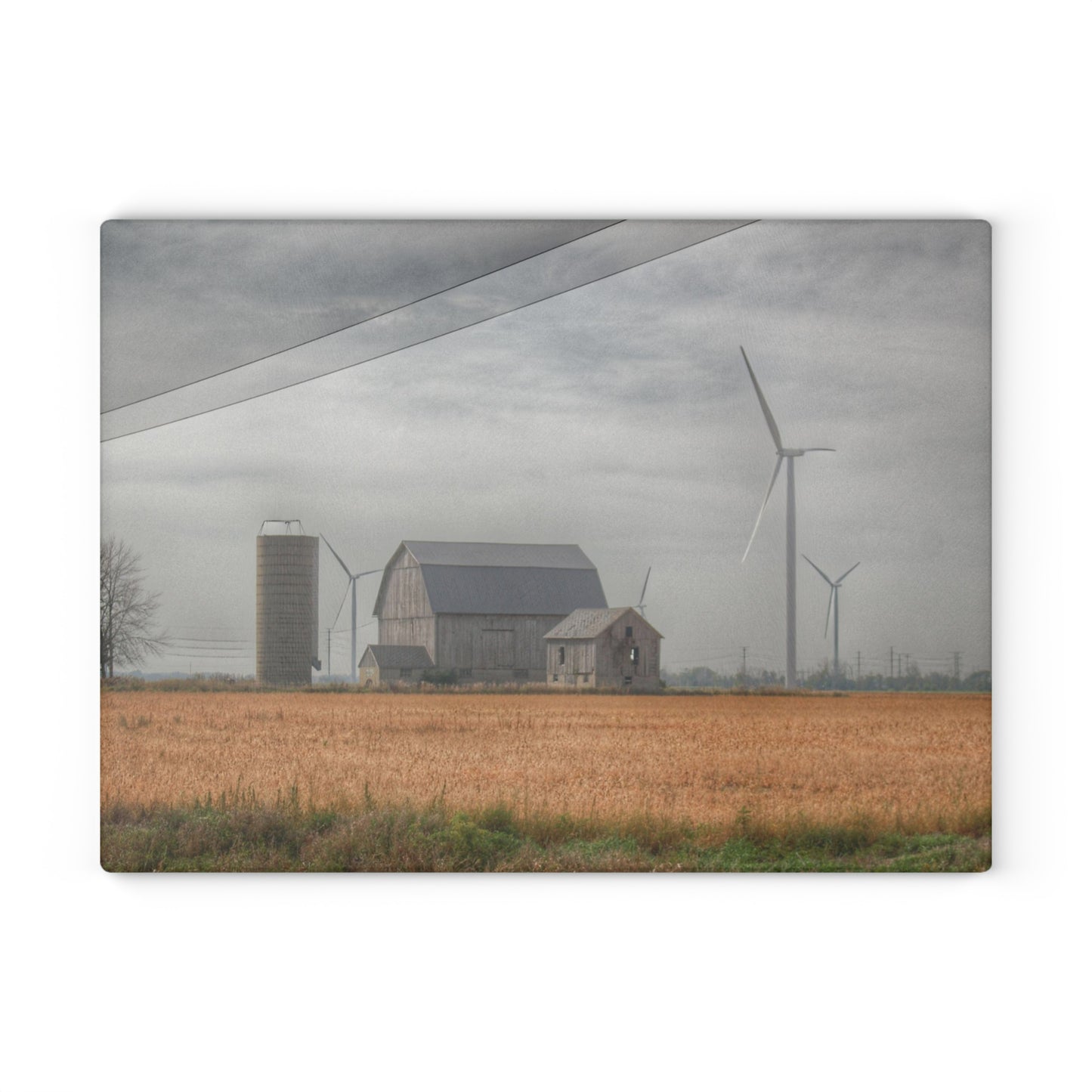 U R There Photography Pinabog Greys Rustic Farmhouse Tempered-Glass Cutting Board