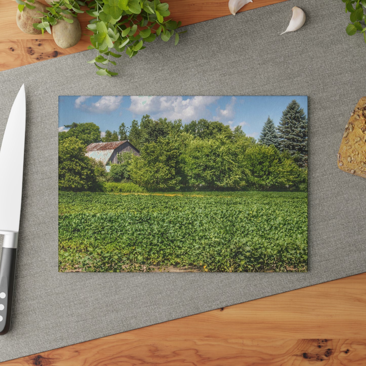 U R There Photography Canada Road Hidden Rustic Farmhouse Tempered-Glass Cutting Board