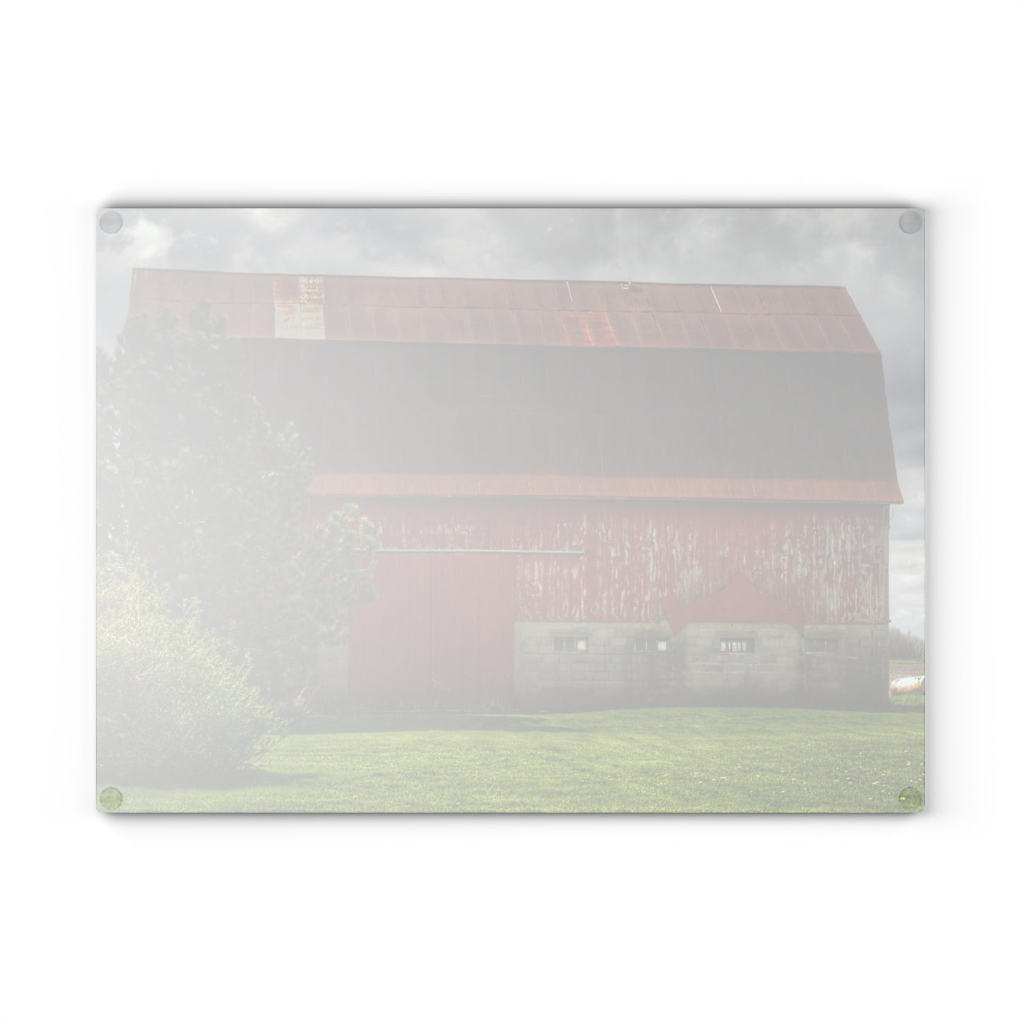 U R There Photography Big Red I Rustic Farmhouse Tempered-Glass Cutting Board