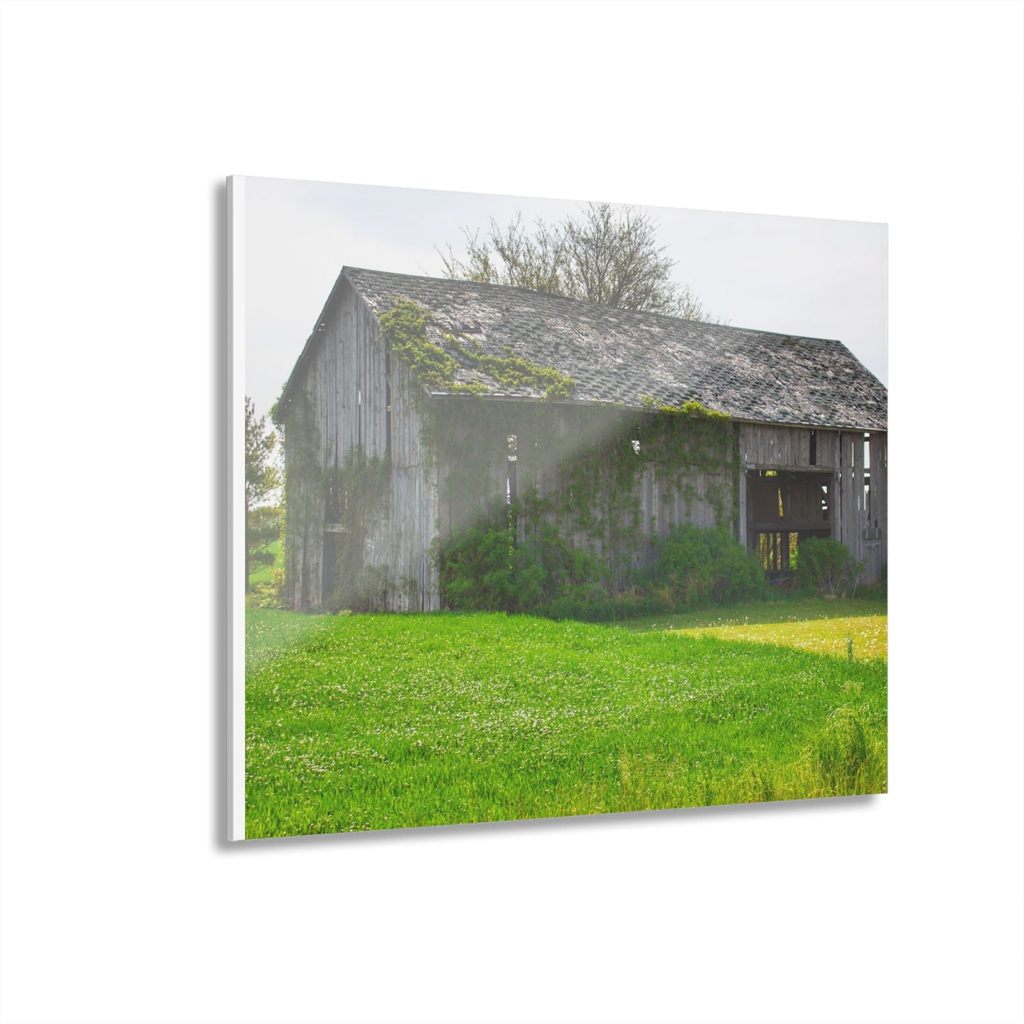 U R There Photography Caro Road Twin Grey II Rustic Farmhouse Acrylic Wall Print