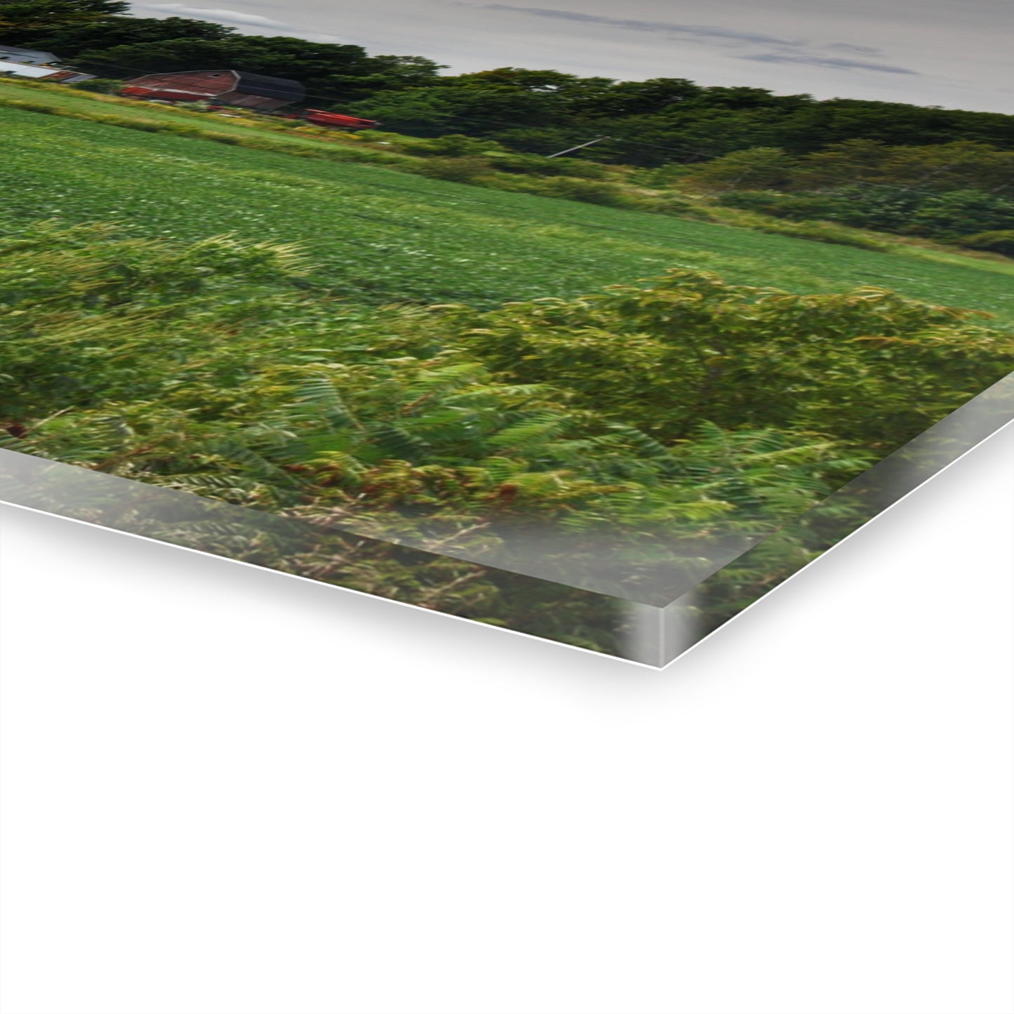 U R There Photography Across the Field in Silverwood Rustic Farmhouse Acrylic Wall Print