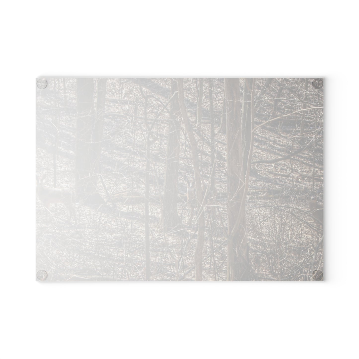 U R There Photography Three Does of Dryden Rustic Farmhouse Acrylic Analog Wall Clock