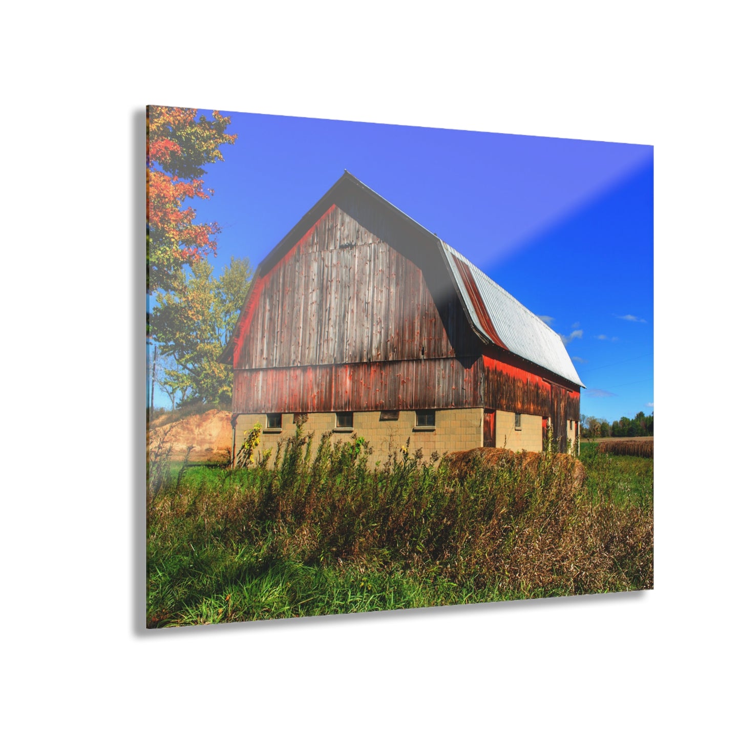 U R There Photography Byington Road Red II Rustic Farmhouse Acrylic Wall Print