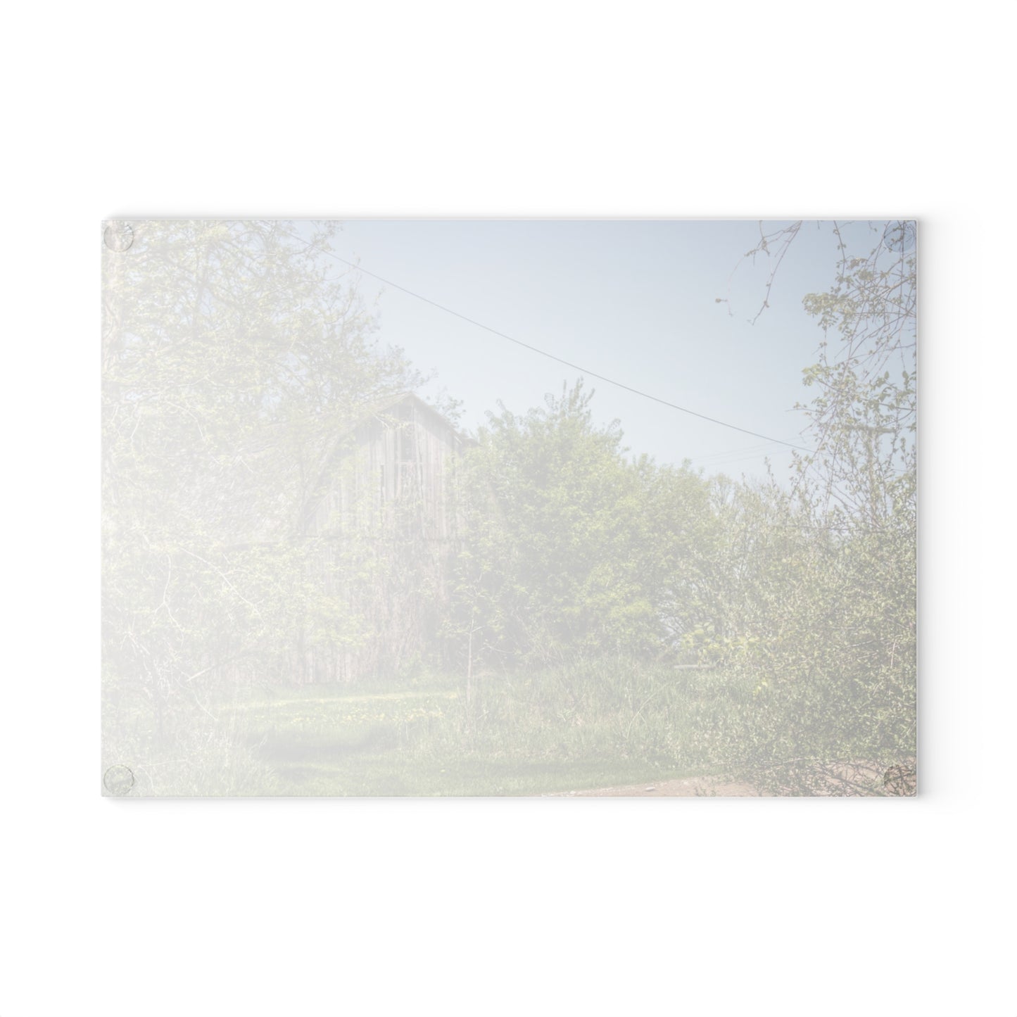U R There Photography Bishop Road Grey II Rustic Farmhouse Tempered-Glass Cutting Board