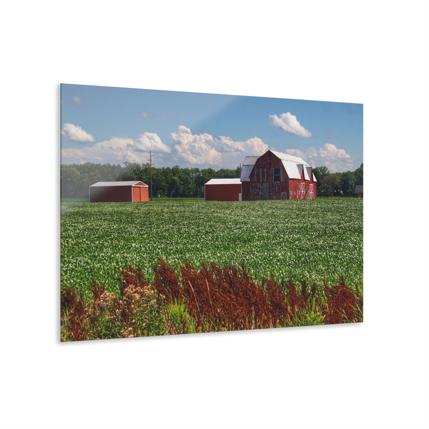 U R There Photography South Gera Road Red Rustic Farmhouse Acrylic Wall Print