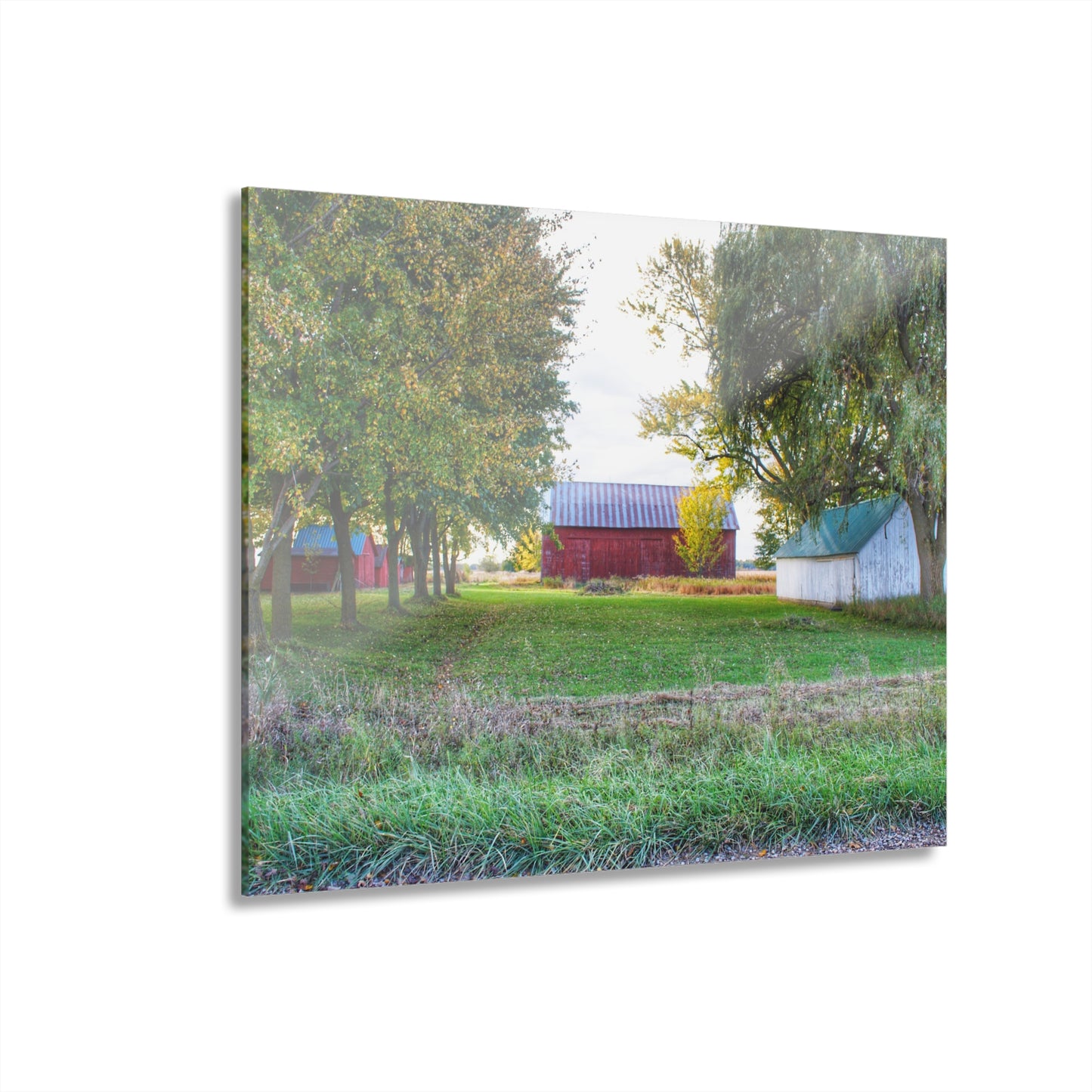 U R There Photography Wilcox Road Reds Rustic Farmhouse Acrylic Wall Print