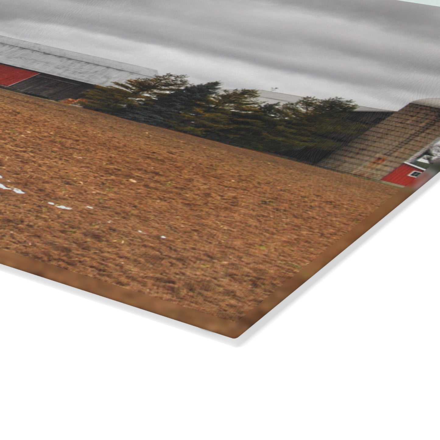 U R There Photography Ormes Road Old Grey Rustic Farmhouse Tempered-Glass Cutting Board