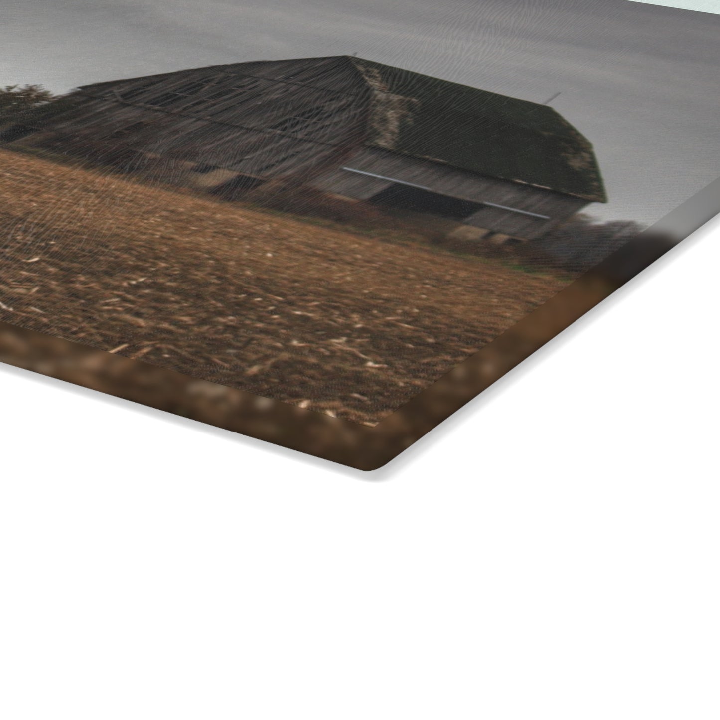 U R There Photography Stone Road Old Grey I Rustic Farmhouse Tempered-Glass Cutting Board