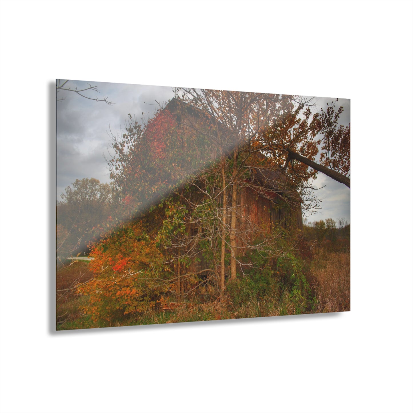 U R There Photography Annie's Barn III Rustic Farmhouse Acrylic Wall Print