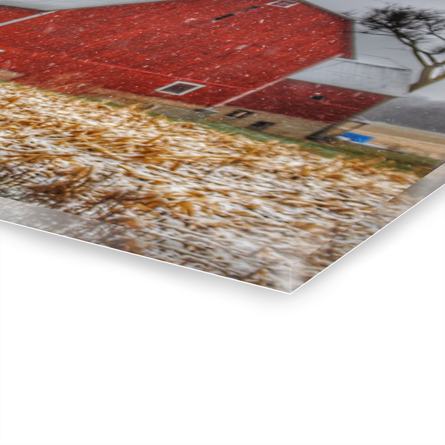 U R There Photography Shoemaker Road Winter Reds I Rustic Farmhouse Acrylic Wall Print