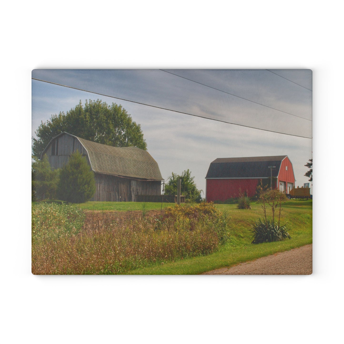 U R There Photography Schott Road Generations Rustic Farmhouse Tempered-Glass Cutting Board
