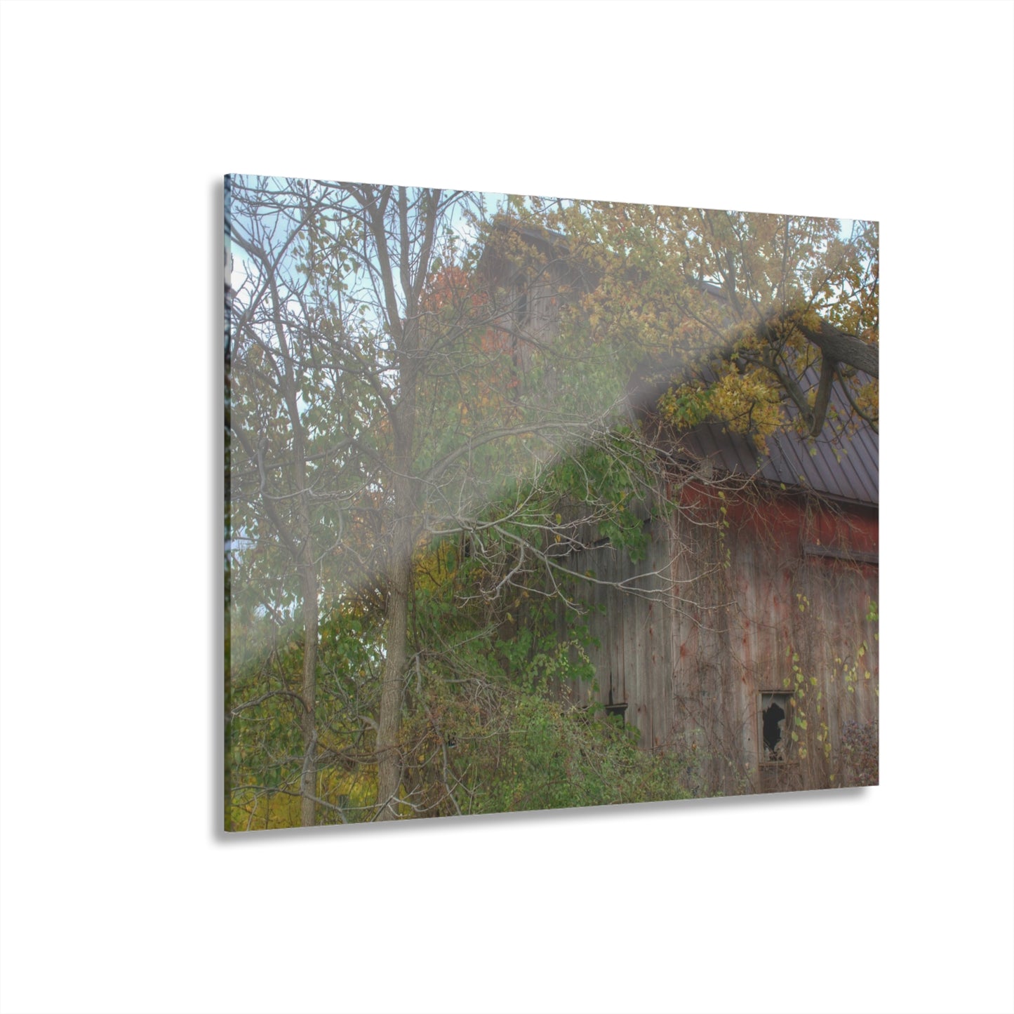 U R There Photography Annie's Barn I Rustic Farmhouse Acrylic Wall Print