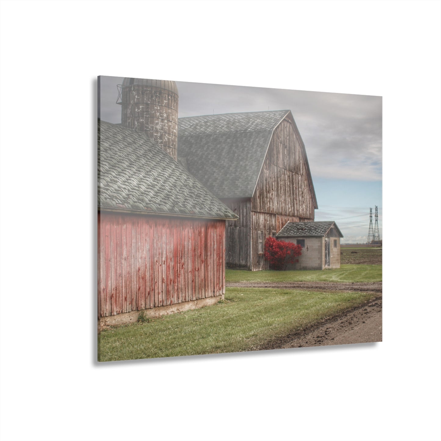 U R There Photography Roedel Roadside Reds III Rustic Farmhouse Acrylic Wall Print