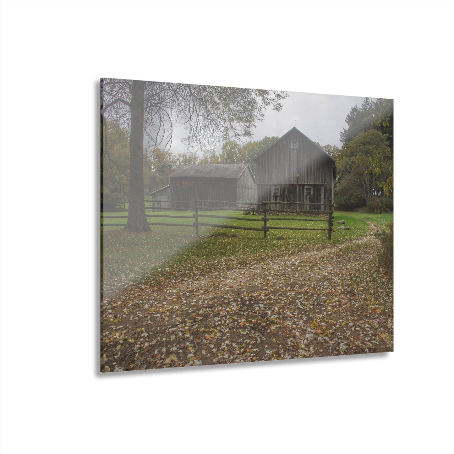 U R There Photography Wilder Road Greys II Rustic Farmhouse Acrylic Wall Print