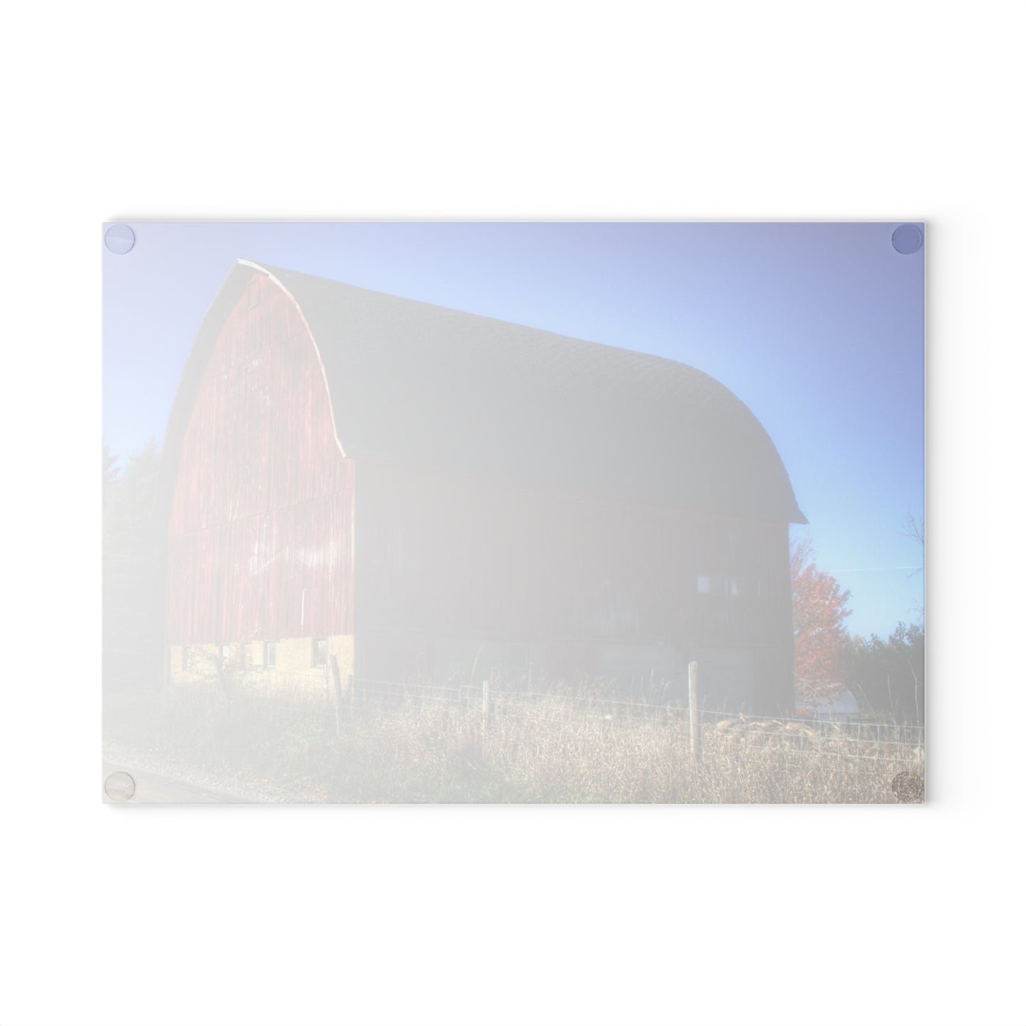 U R There Photography Big Red II Rustic Farmhouse Tempered-Glass Cutting Board