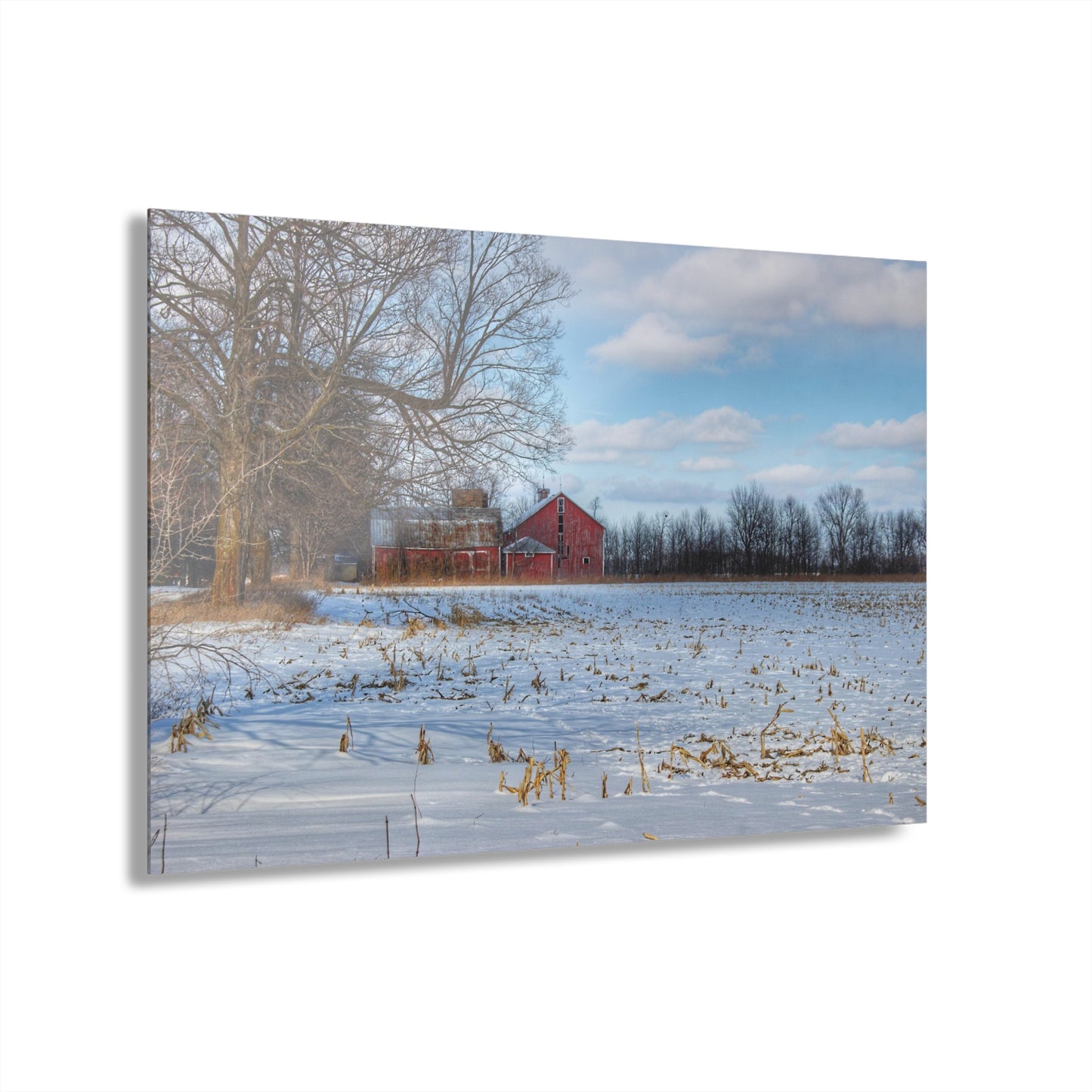 Rustic Farmhouse Wall Print Featuring Across Barnes Roads Frozen Corn Field
