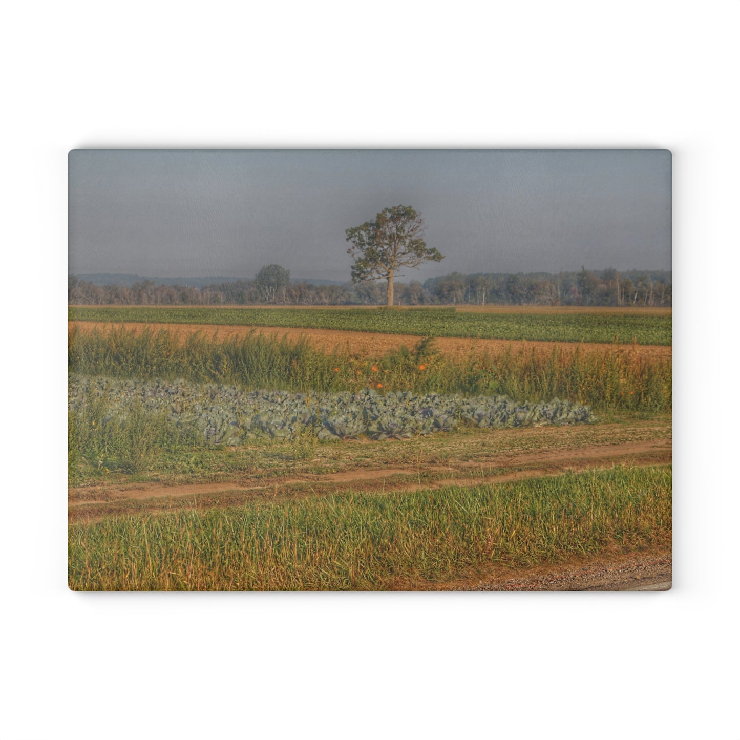 U R There Photography Cabbage and Pumpkin Patch Rustic Farmhouse Tempered-Glass Cutting Board