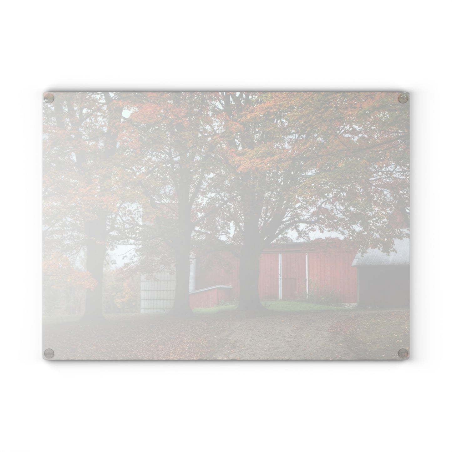 U R There Photography Brown Road Red in the Fall Rustic Farmhouse Tempered-Glass Cutting Board