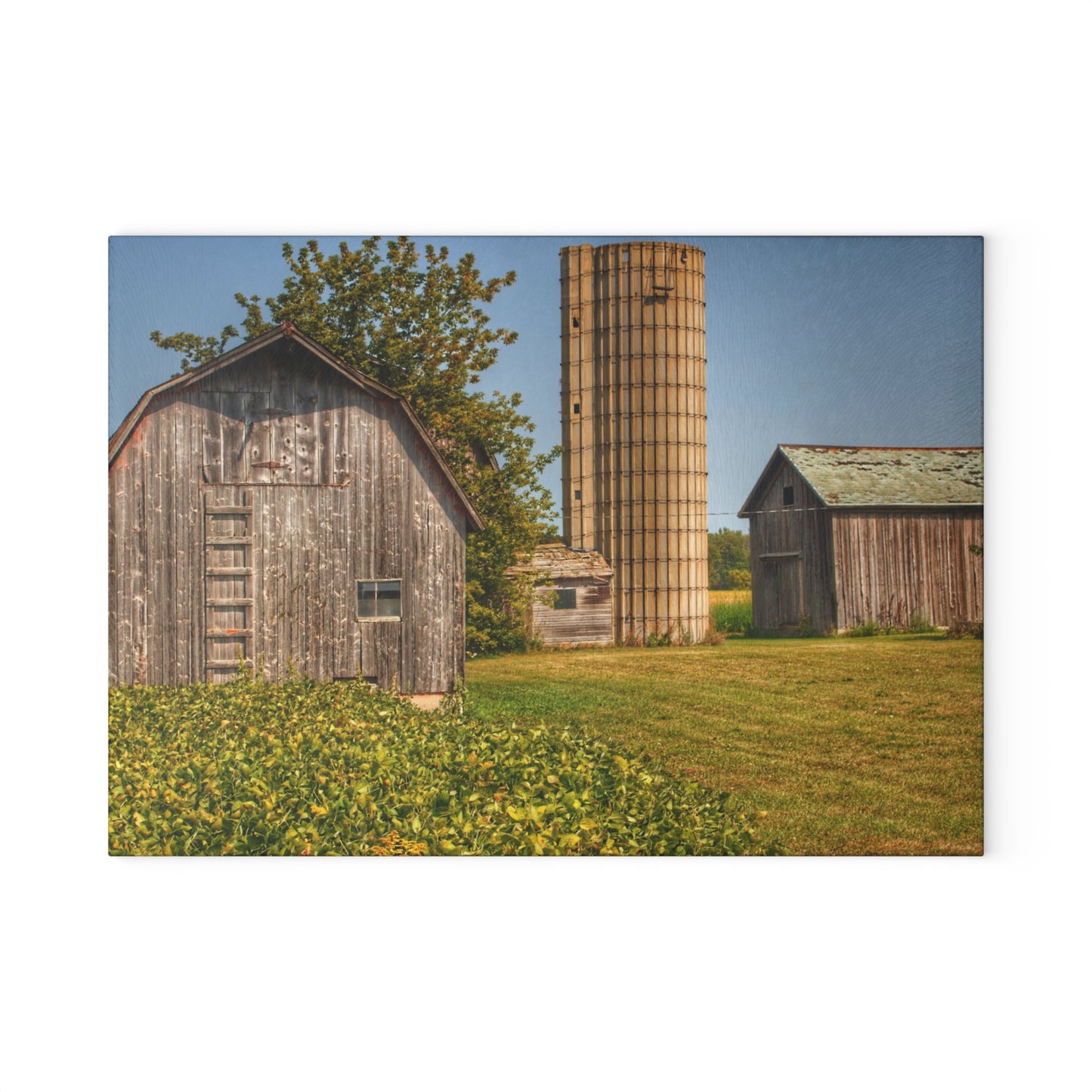 U R There Photography Swaffer Mini Greys and Silos Rustic Farmhouse Tempered-Glass Cutting Board