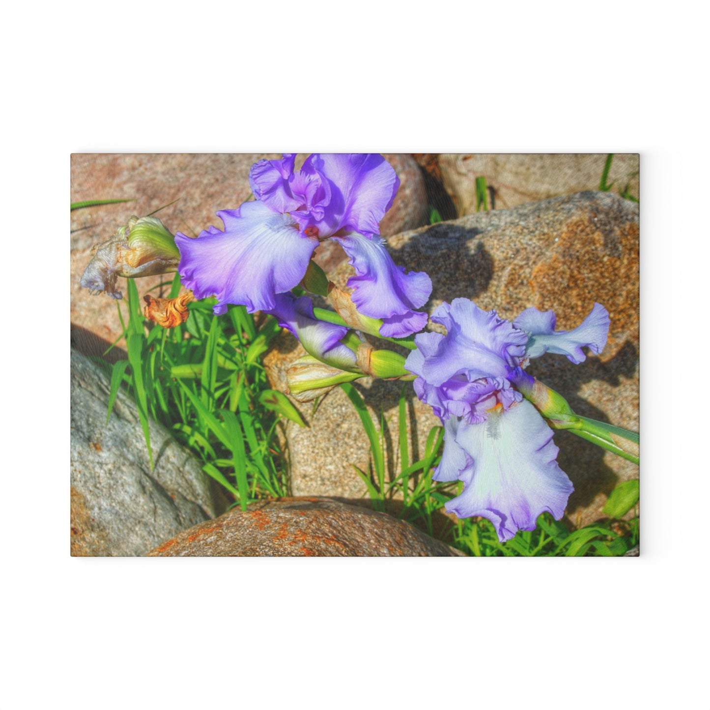 U R There Photography Saint Hugos Iris Rustic Farmhouse Tempered-Glass Cutting Board