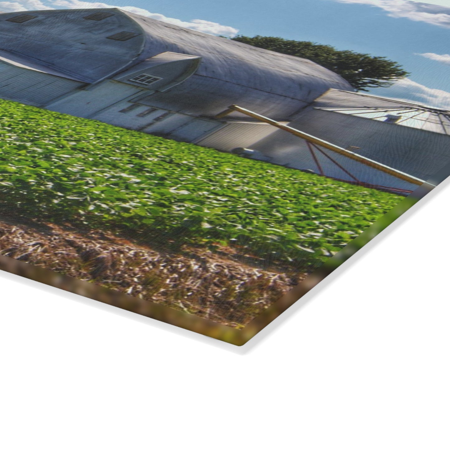 U R There Photography Canada Road White Rustic Farmhouse Tempered-Glass Cutting Board