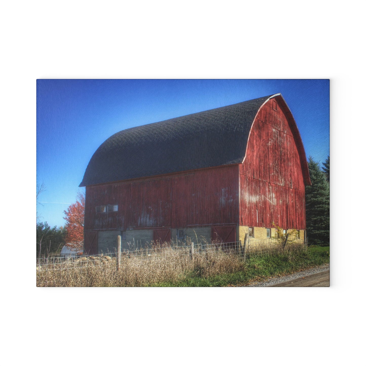 U R There Photography Big Red II Rustic Farmhouse Tempered-Glass Cutting Board