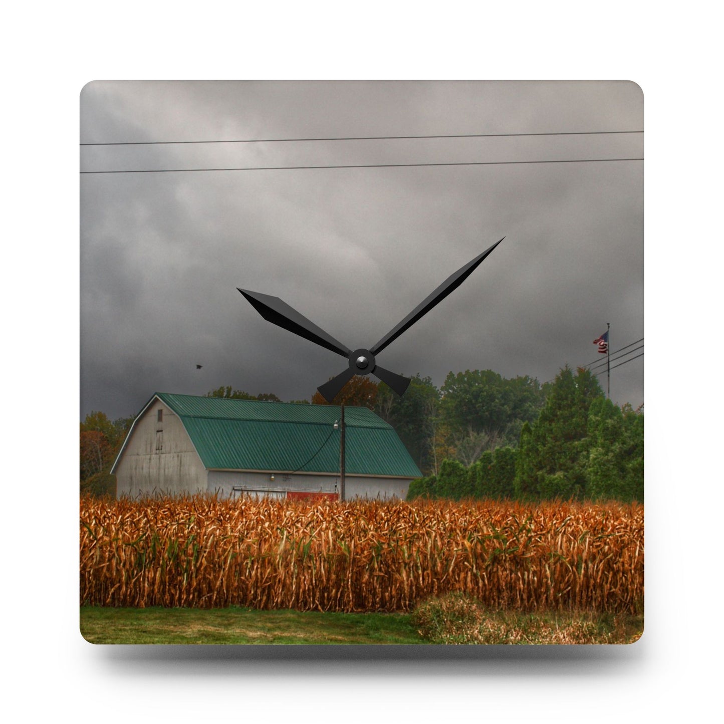 U R There Photography Saginaw Road White Rustic Farmhouse Acrylic Analog Wall Clock