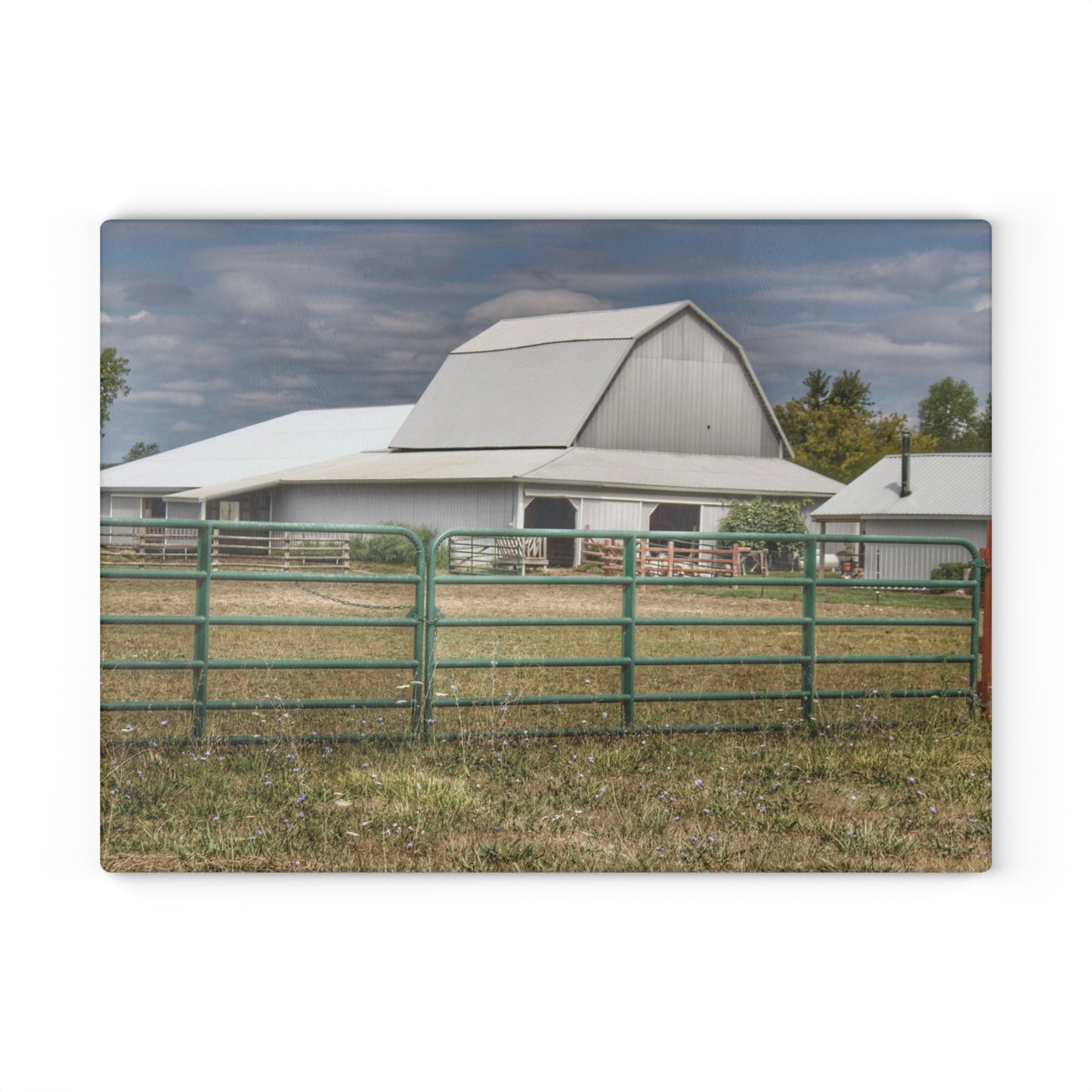 U R There Photography Petz Road Grey Rustic Farmhouse Tempered-Glass Cutting Board
