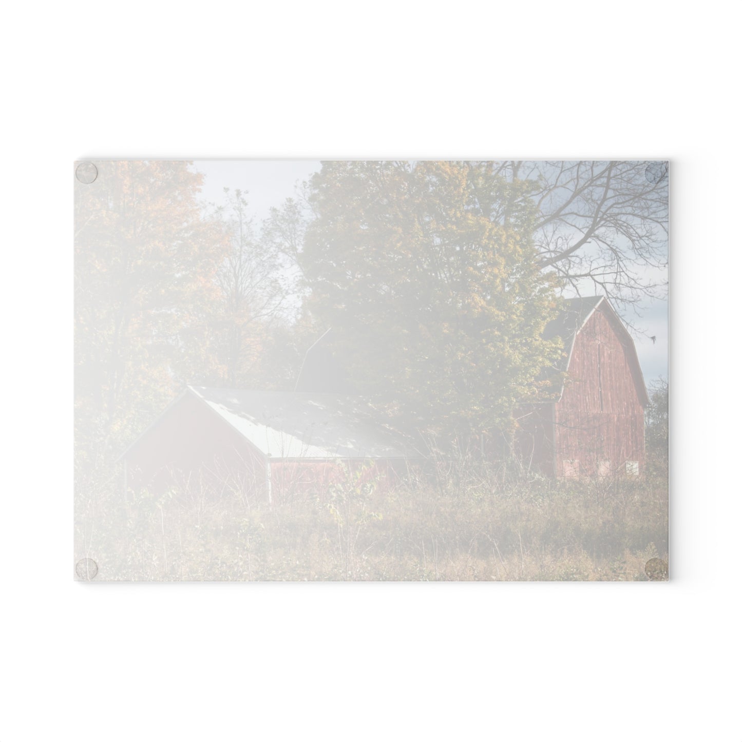 U R There Photography Bowers Road Red I Rustic Farmhouse Tempered-Glass Cutting Board