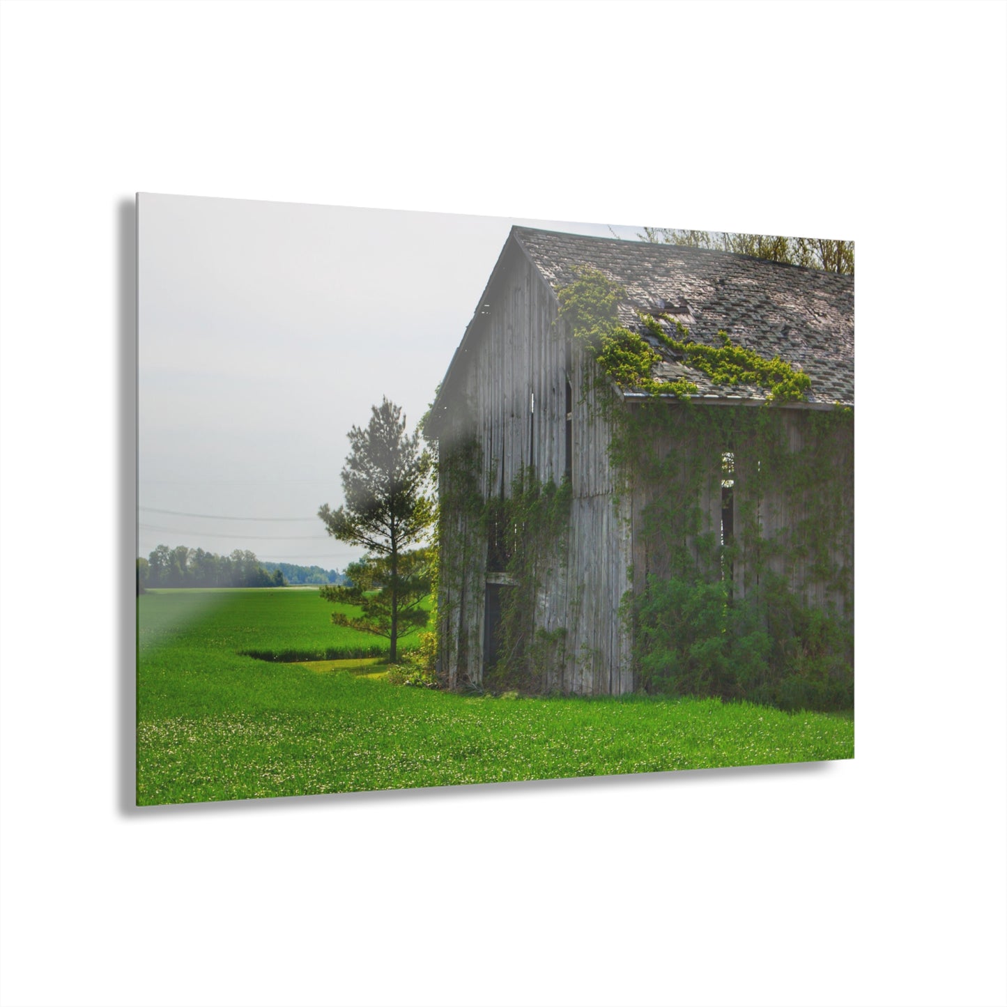 U R There Photography Caro Road Twin Grey I Rustic Farmhouse Acrylic Wall Print