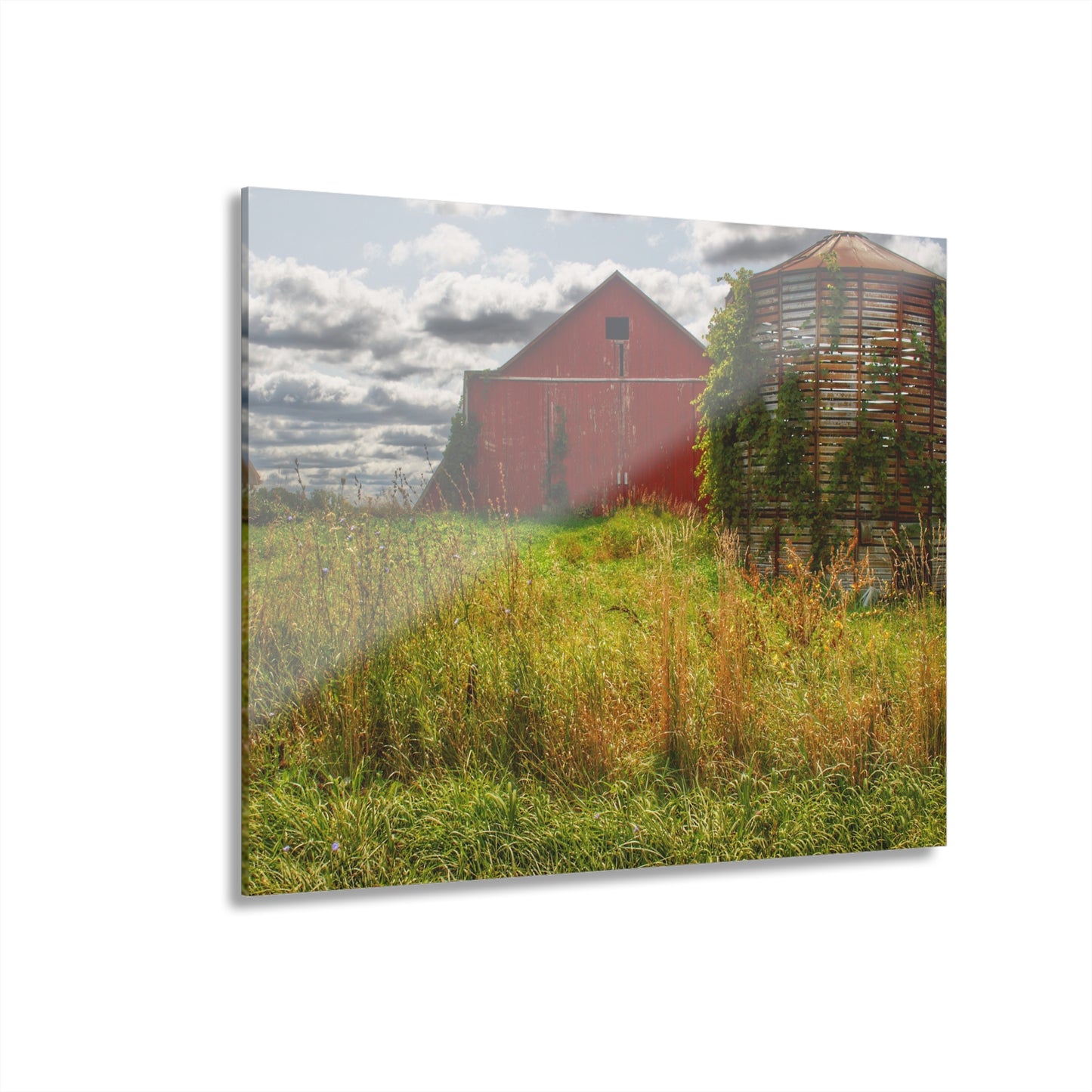 U R There Photography Roadside Relics Rustic Farmhouse Acrylic Wall Print