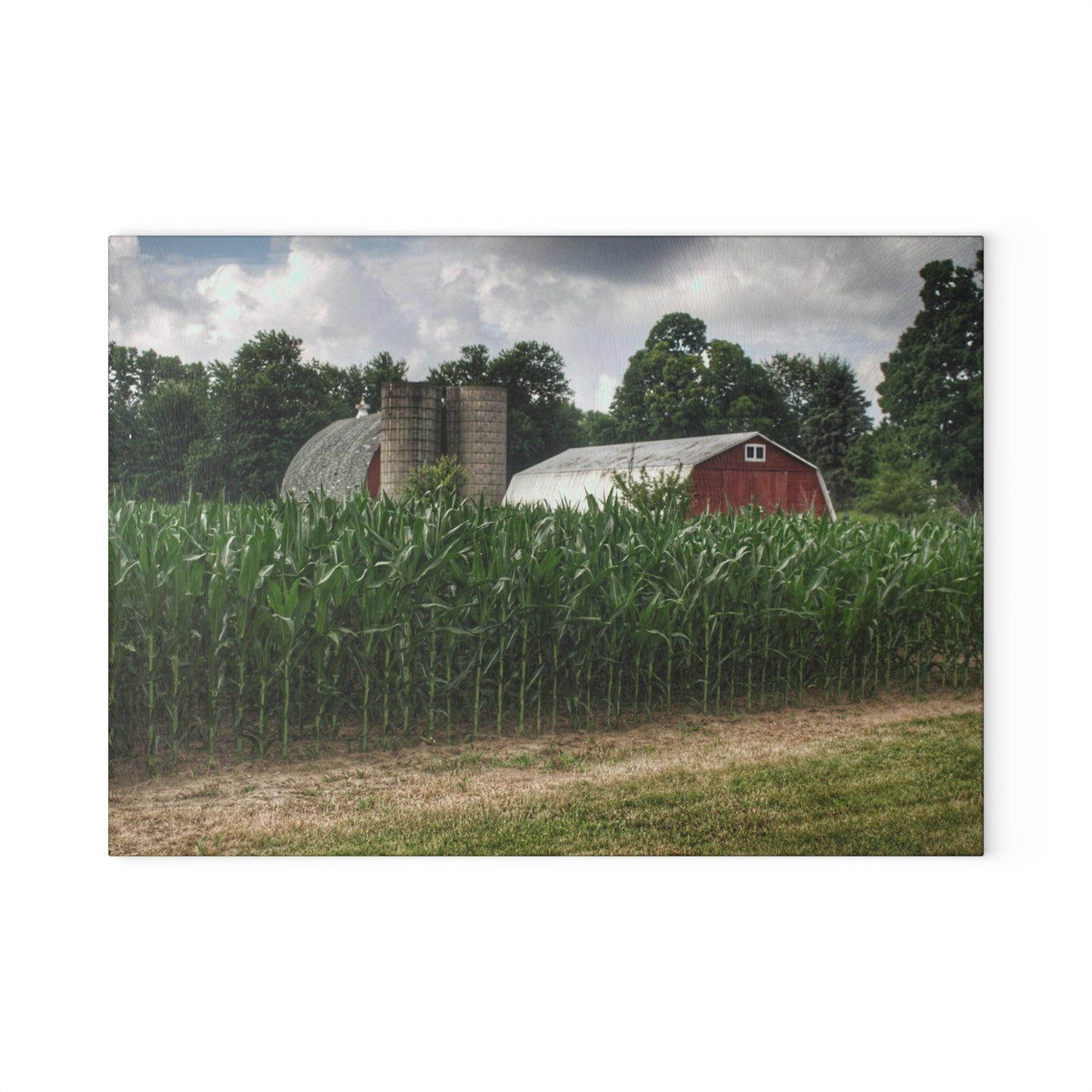 U R There Photography Scotch Settlement Reds Rustic Farmhouse Tempered-Glass Cutting Board