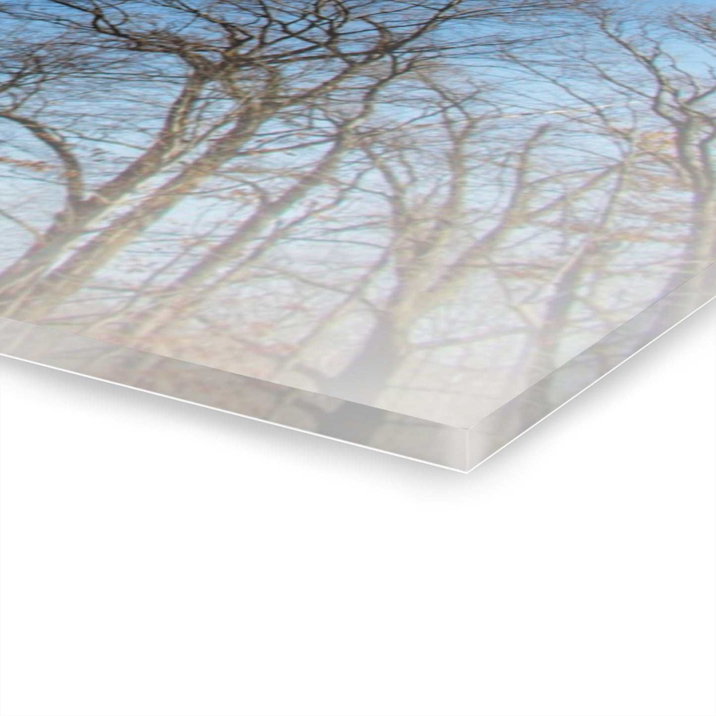 U R There Photography Our Grand Old Flag Rustic Farmhouse Acrylic Wall Print