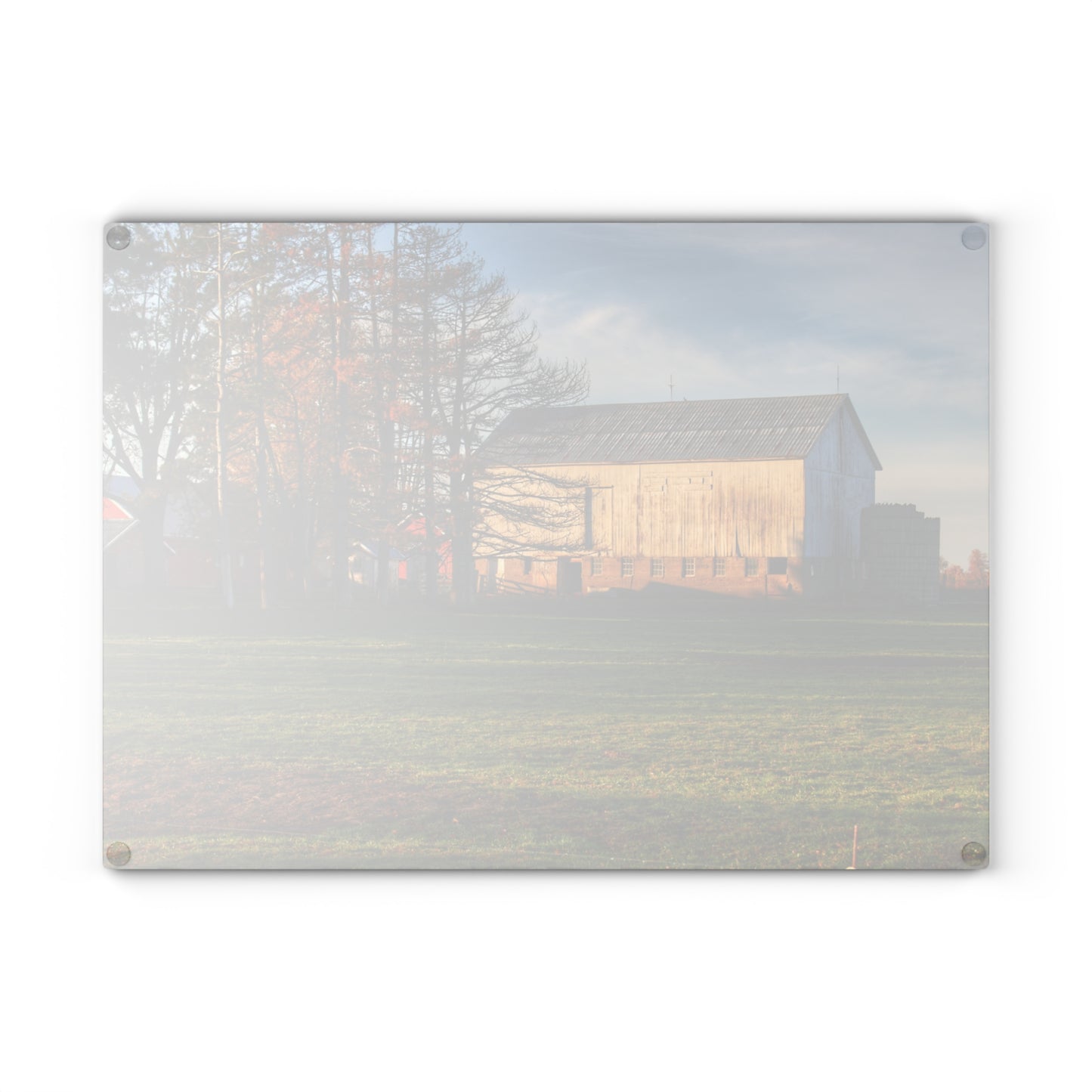 U R There Photography Peck Road White Rustic Farmhouse Tempered-Glass Cutting Board