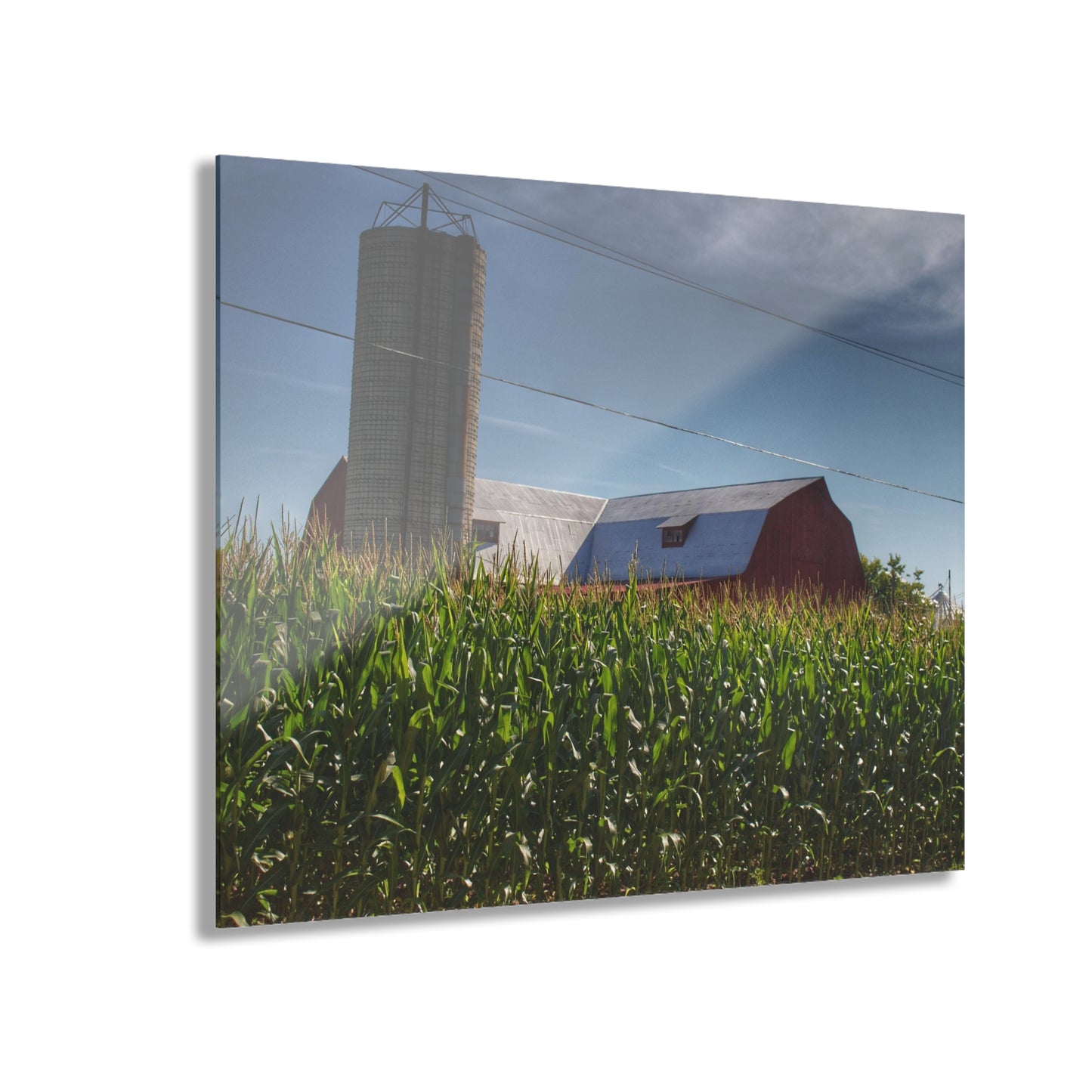 U R There Photography Above the Corn on Tuscola Road Rustic Farmhouse Acrylic Wall Print
