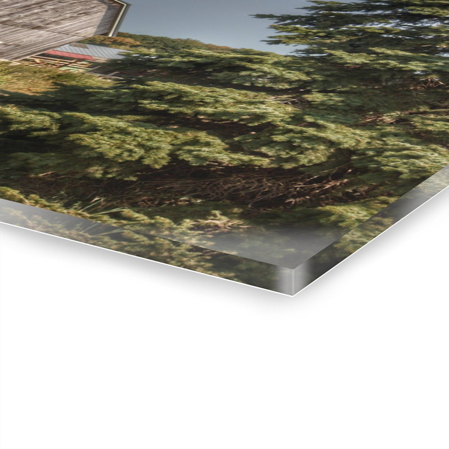 U R There Photography Roadside Grey of Vassar Rustic Farmhouse Acrylic Wall Print