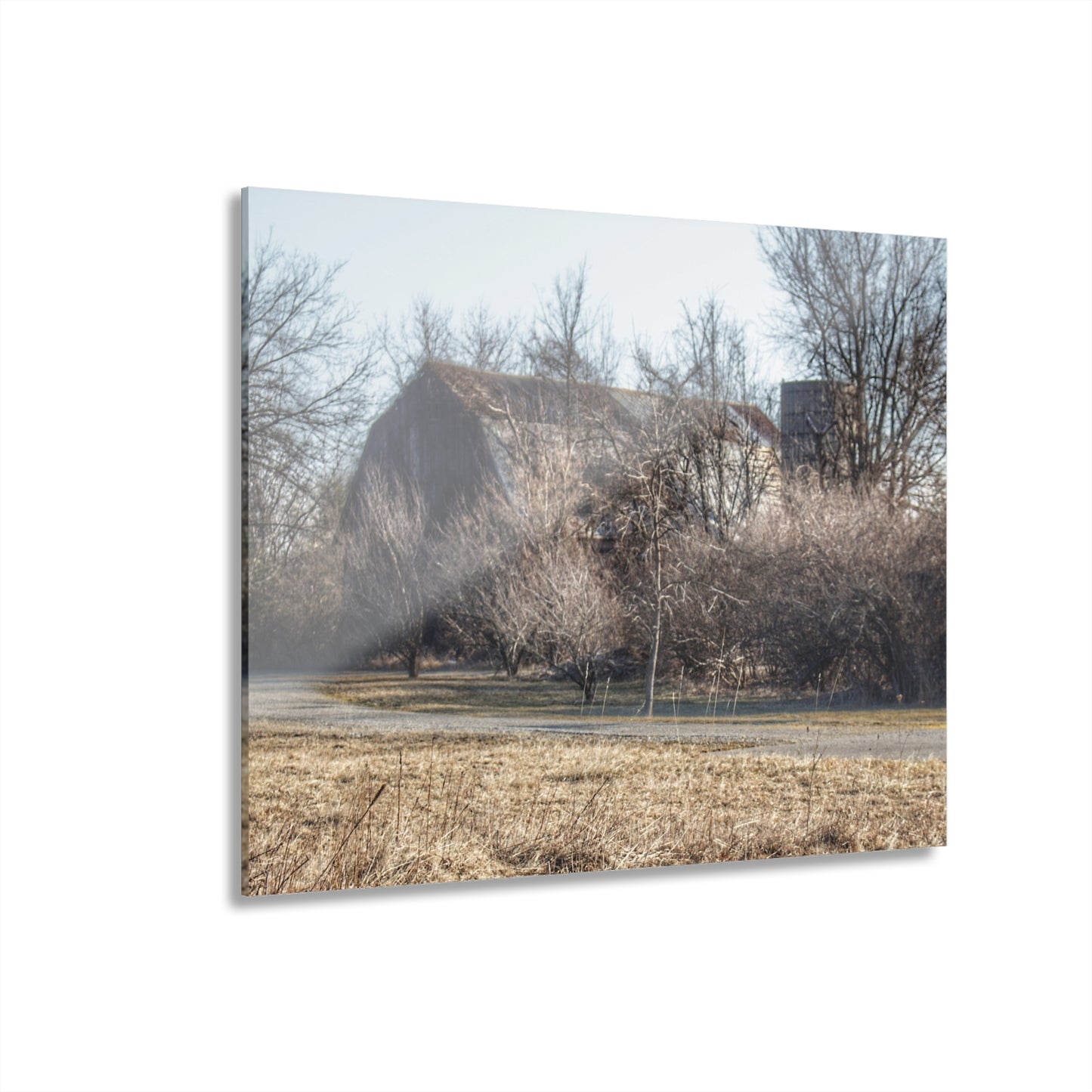 U R There Photography Weyer Road Hidden Rustic Farmhouse Acrylic Wall Print