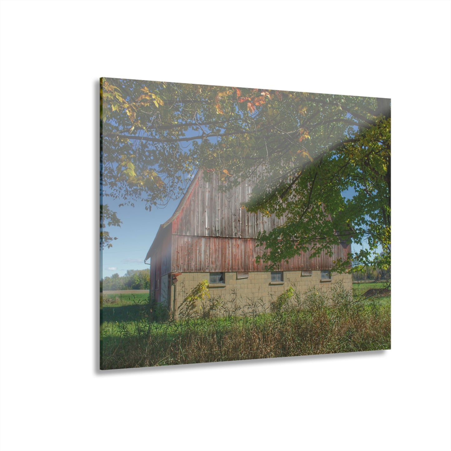 U R There Photography Byington Road Red I Rustic Farmhouse Acrylic Wall Print