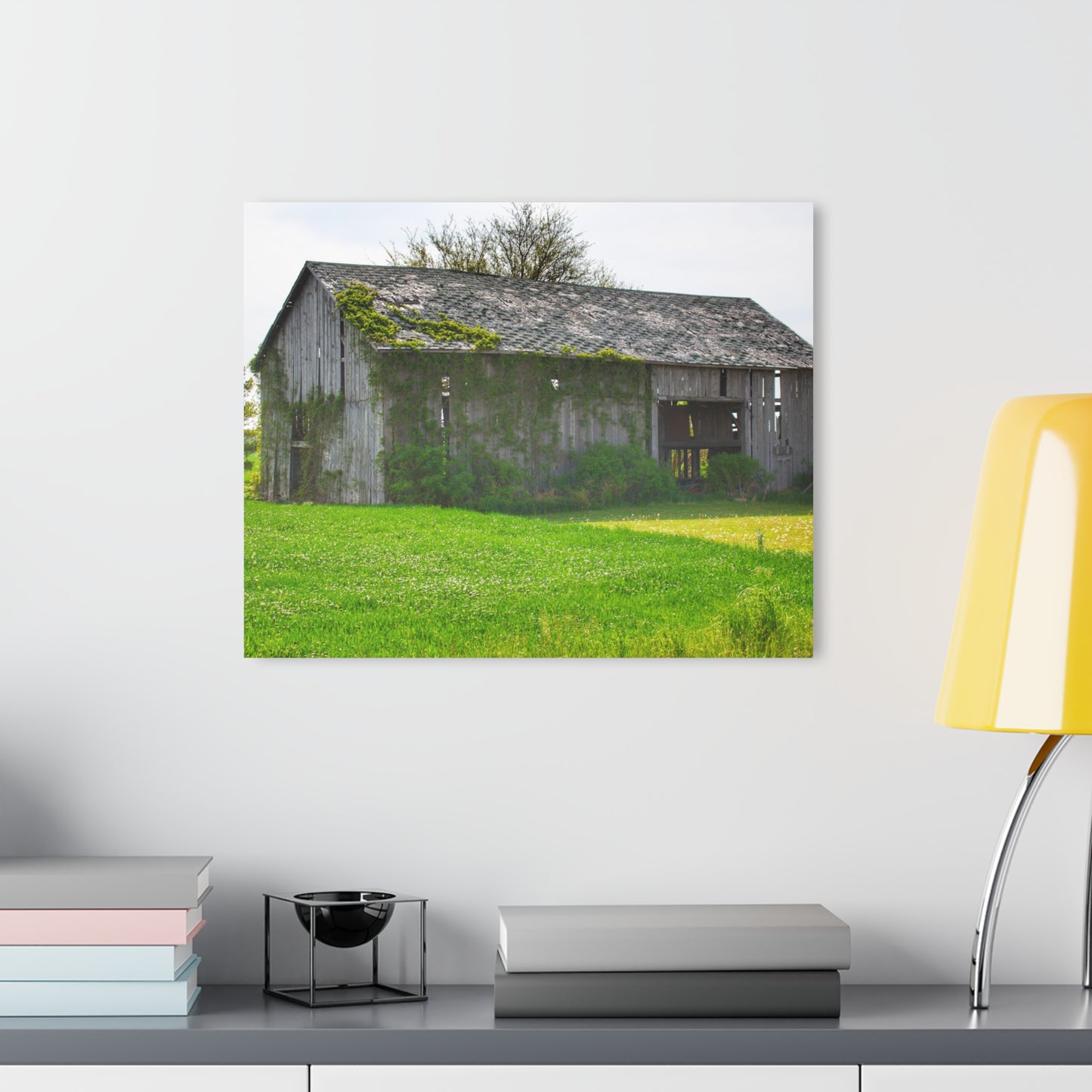 U R There Photography Caro Road Twin Grey II Rustic Farmhouse Acrylic Wall Print