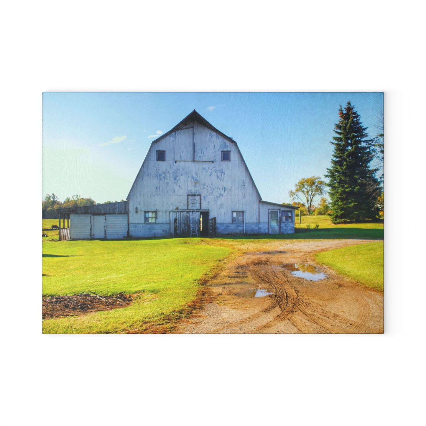 U R There Photography Yale Fremont Road Grey Rustic Farmhouse Tempered-Glass Cutting Board