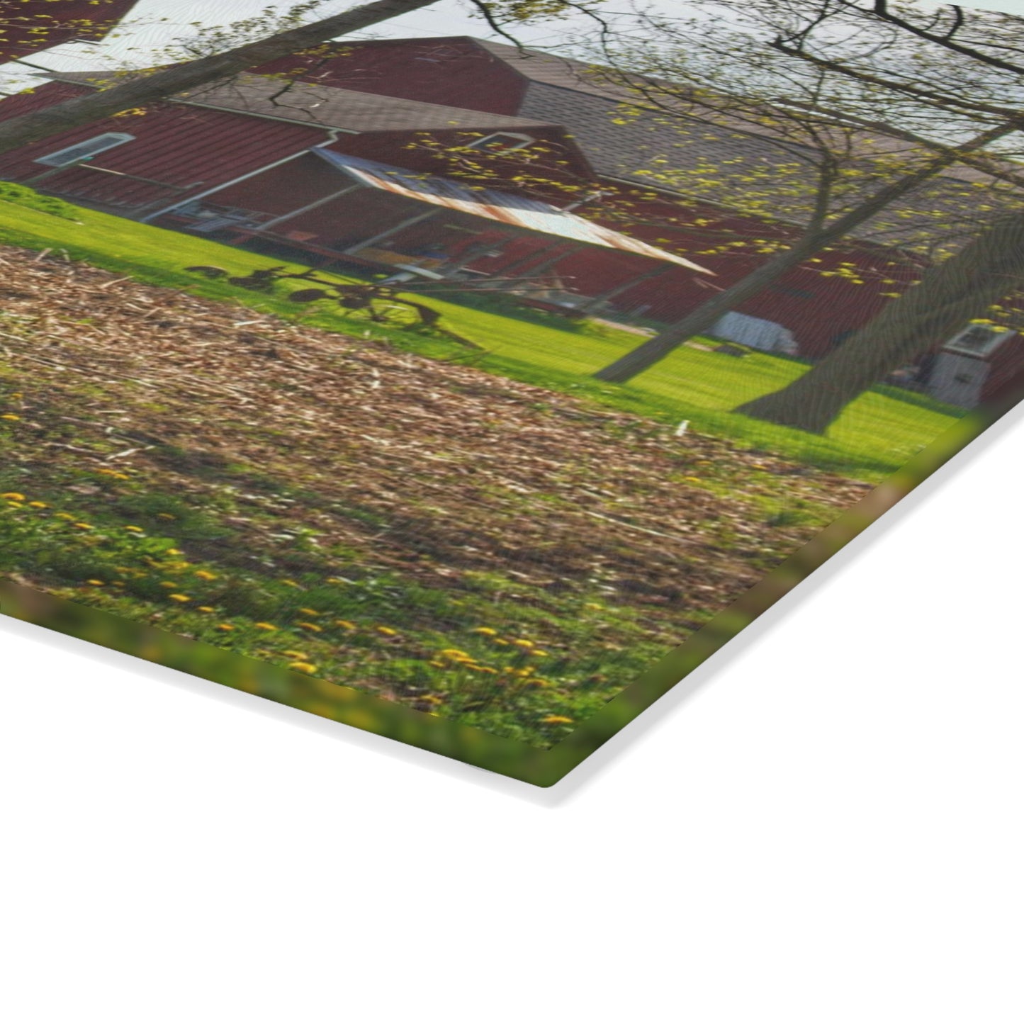 U R There Photography Bishop Road Reds III Rustic Farmhouse Tempered-Glass Cutting Board