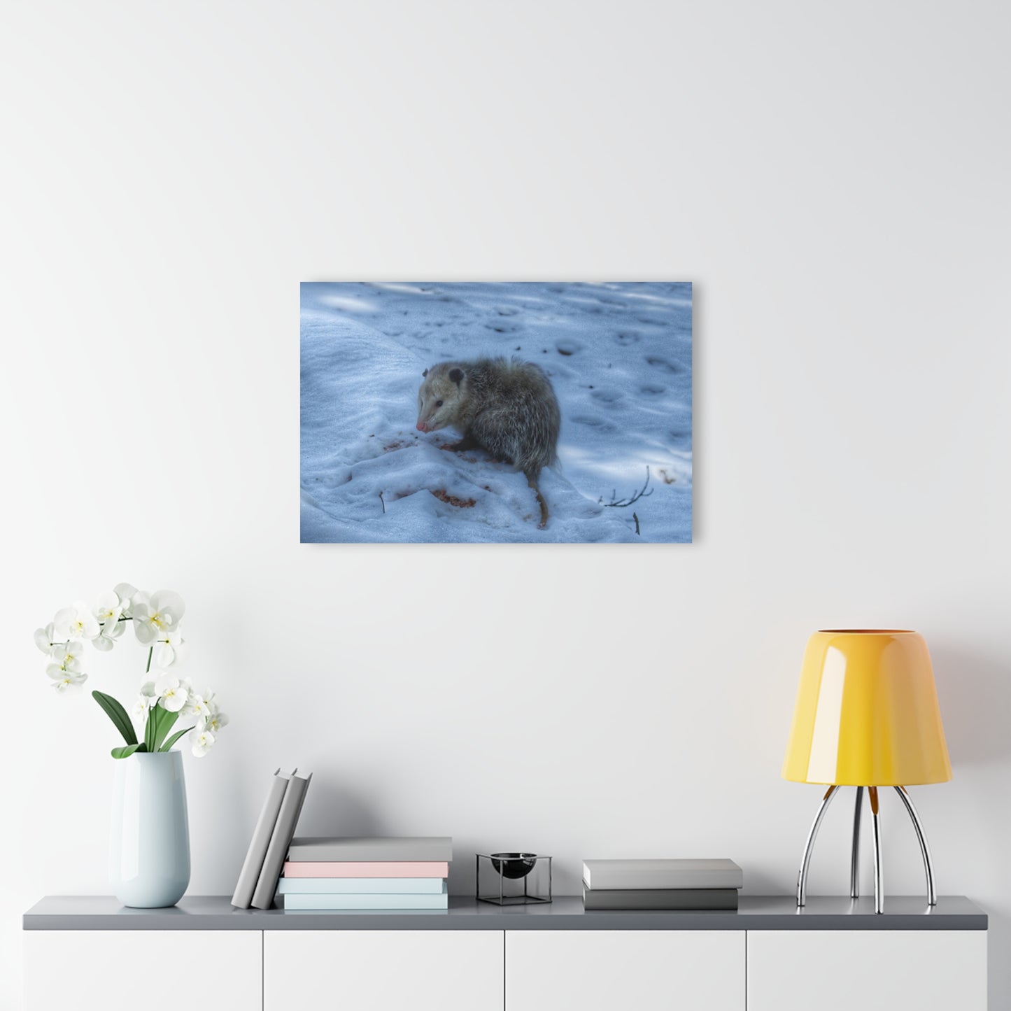 U R There Photography Sutton Road Possum Rustic Farmhouse Acrylic Wall Print