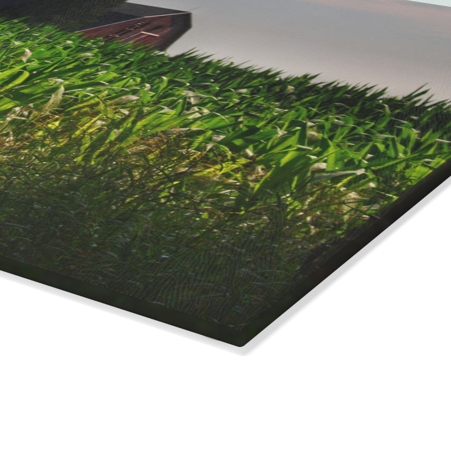 U R There Photography Beyond the Corn in Metamora Rustic Farmhouse Tempered-Glass Cutting Board