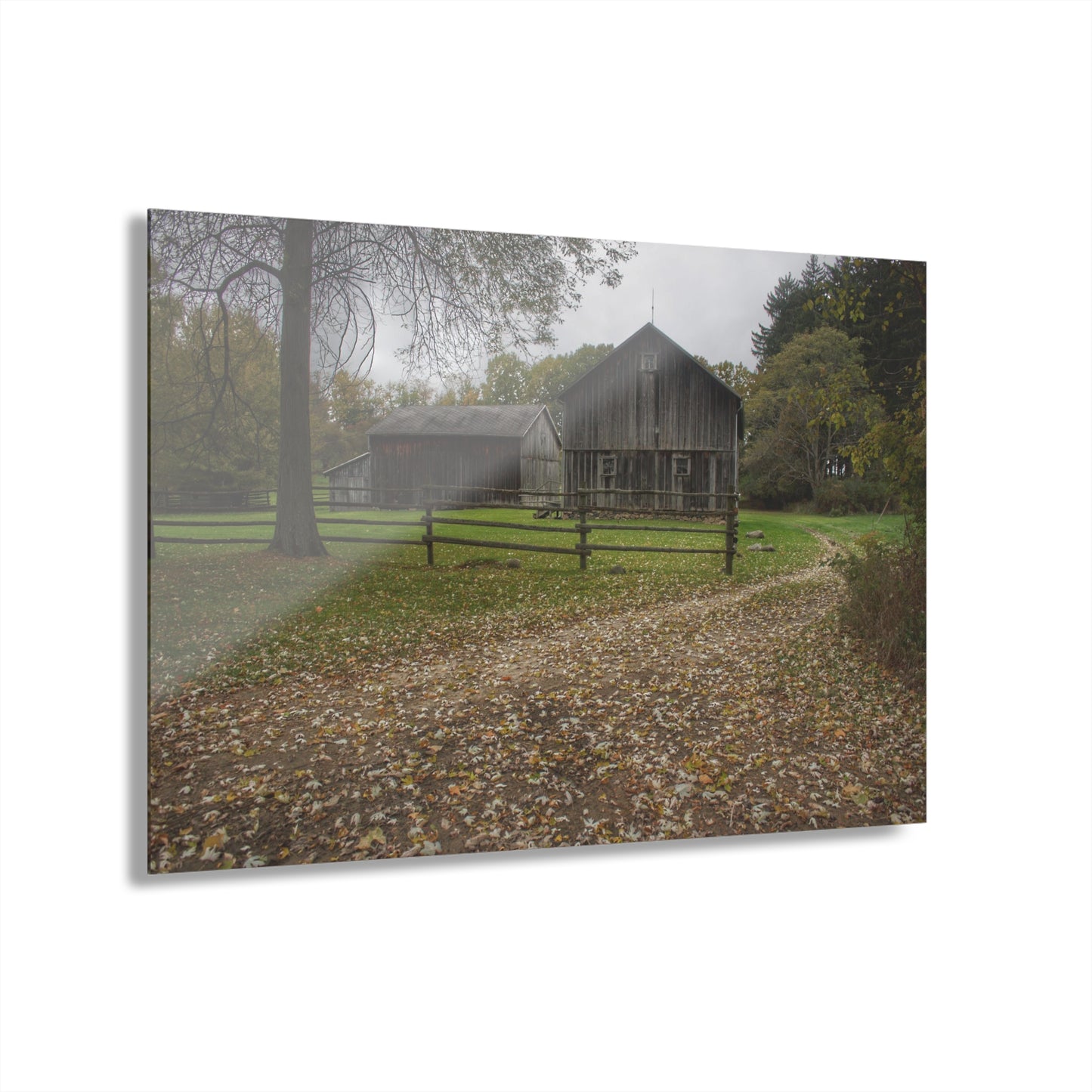 U R There Photography Wilder Road Greys II Rustic Farmhouse Acrylic Wall Print