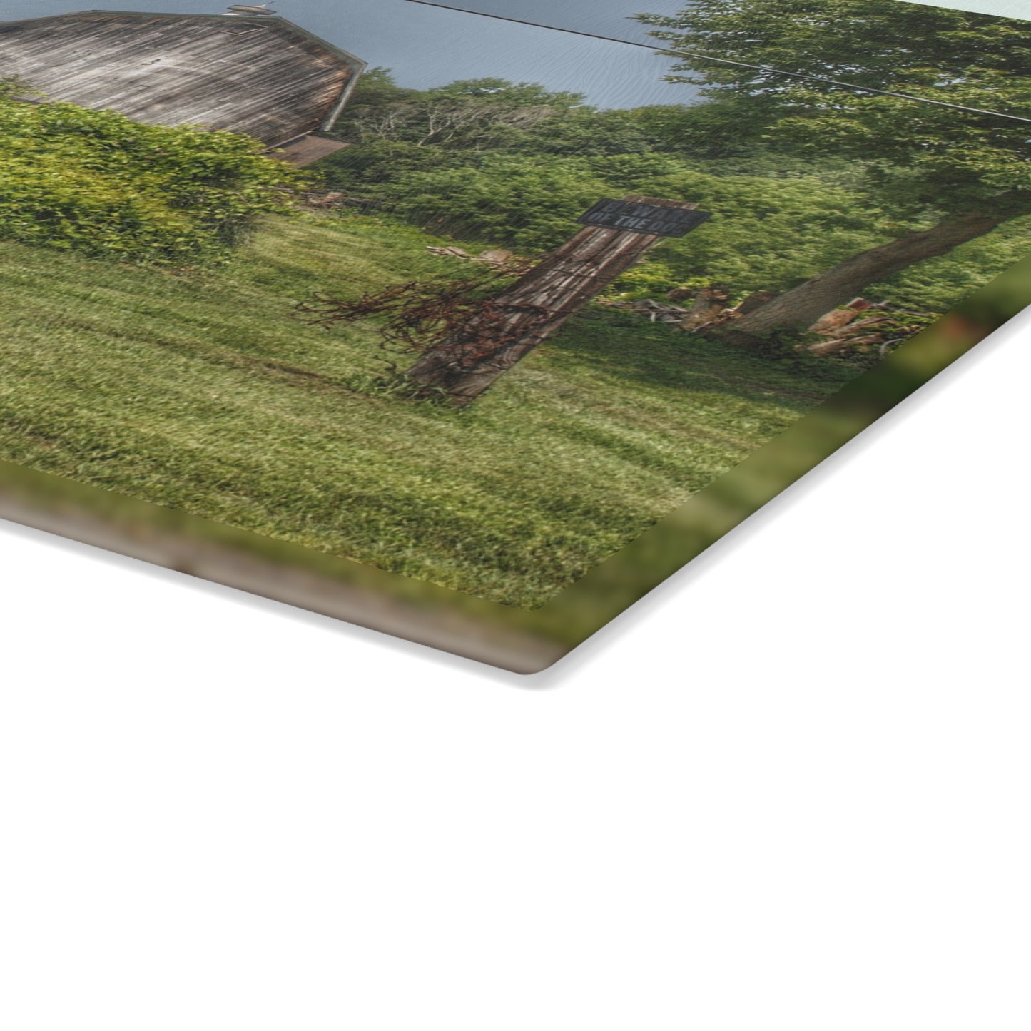 U R There Photography Vassar Road Hidden Grey I Rustic Farmhouse Tempered-Glass Cutting Board