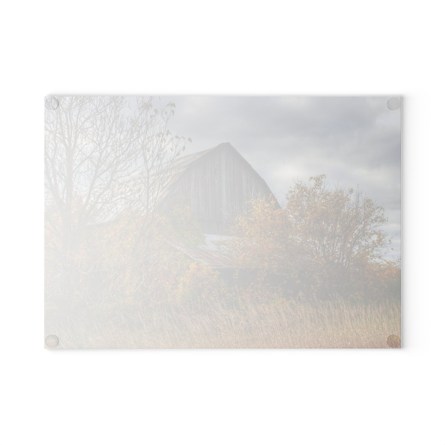 U R There Photography Church Road Grey IV Rustic Farmhouse Tempered-Glass Cutting Board