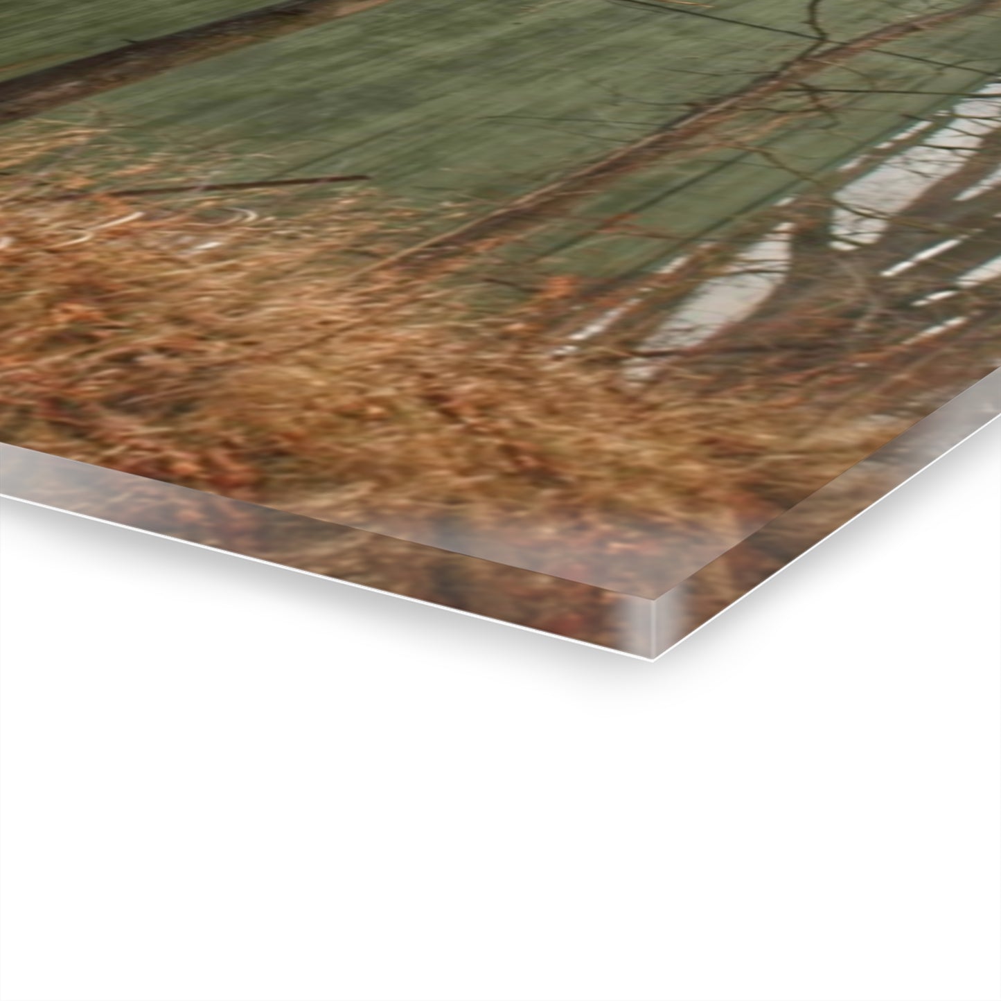 U R There Photography Yale Road Hidden Green Rustic Farmhouse Acrylic Wall Print